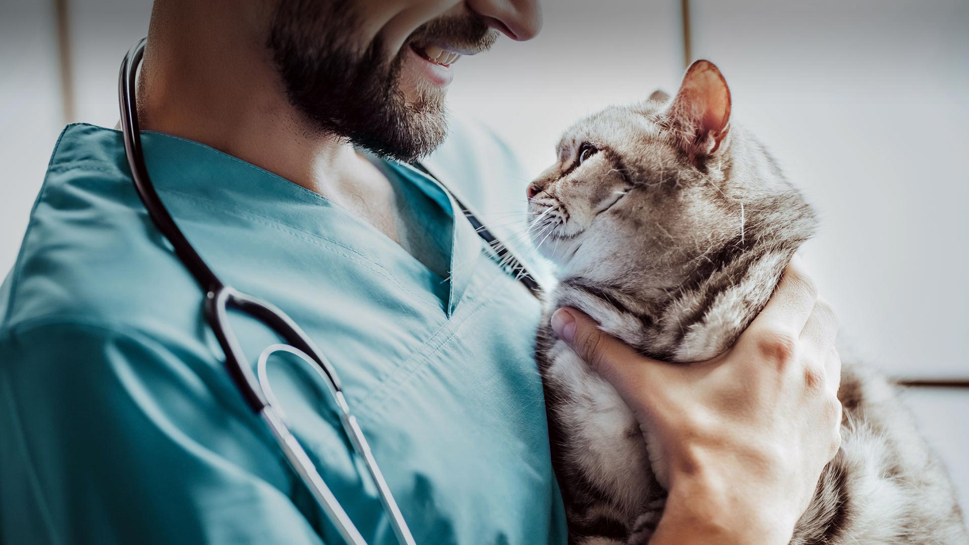 Seydikemer Veteriner